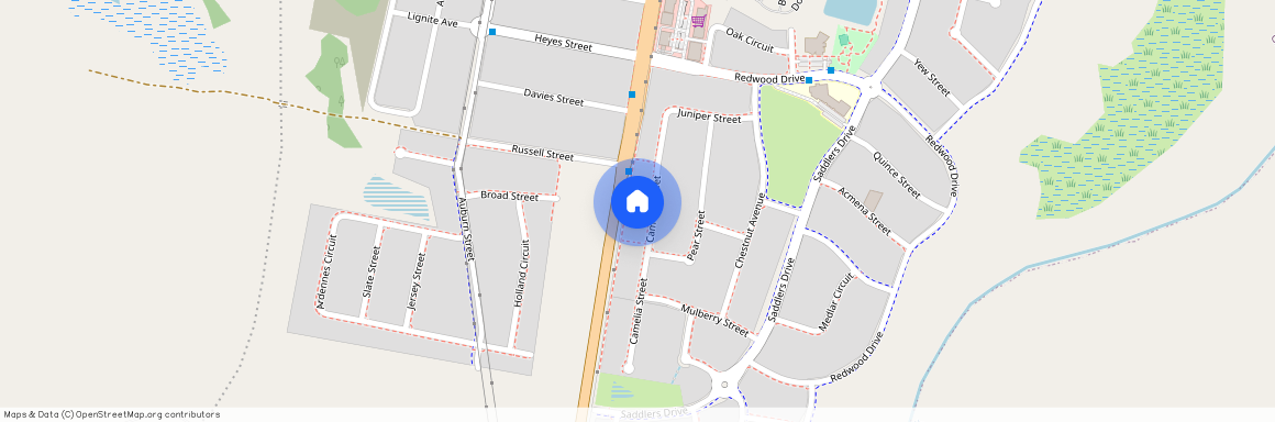 24 Camelia Street, NSW 2321, Gillieston Heights