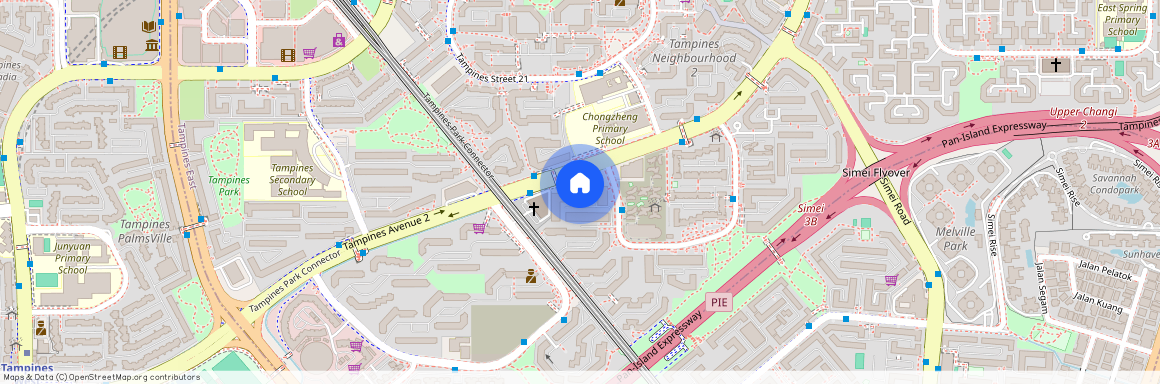 272 Tampines Street 22 (520272), Singapore