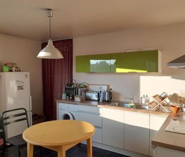 Location Appartement 2 pièces Meublé 68m² LYON 7ème - Photo 4