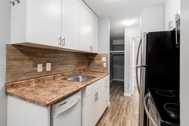 Renovated Suite - 1 Bedroom - Photo 1