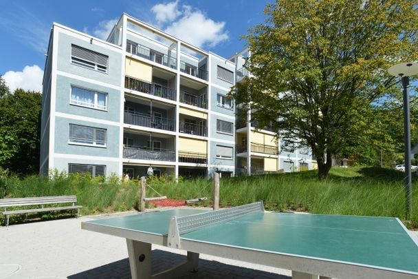 Appartement mansardé avec grande terrasse - Foto 1