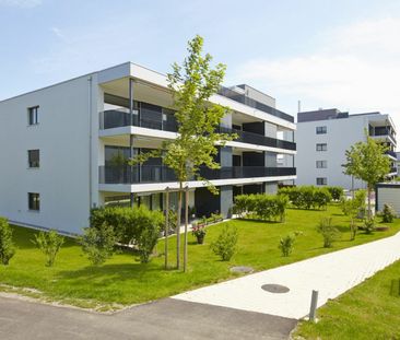 2.5 Zimmer Attika-Wohnung in der Nähe des Hallwilersees - Photo 6