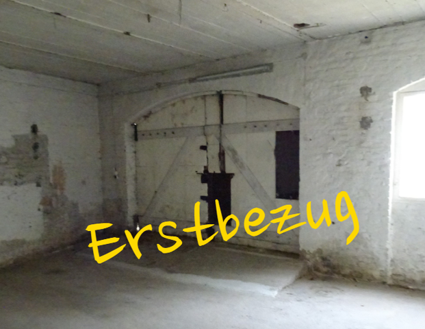 Schicker Schuppen – Teil 1 - Photo 1