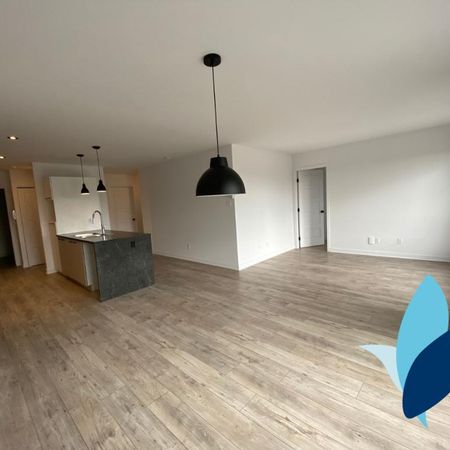 5 1/2 à louer - Un petit chien accepté - 1e septembre 2026 - 1645$ Wi-fi inclus - Photo 4