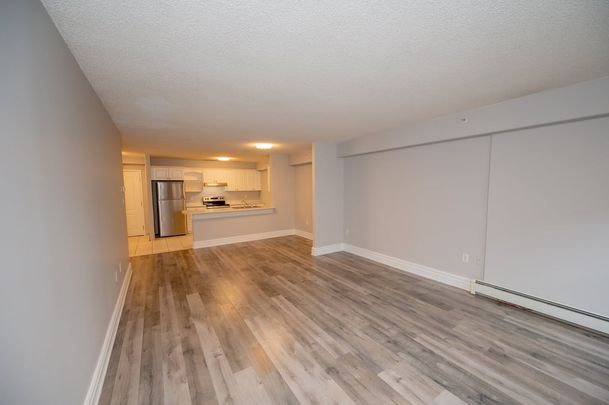 Barrington Terrace - Photo 1