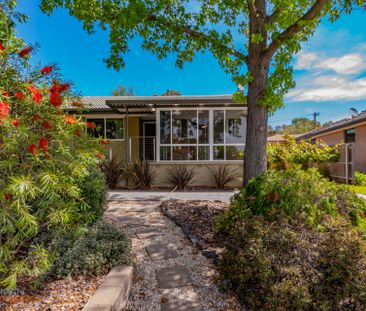 66 Lambrigg Street, Farrer ACT 2607 - House For Rent | Domain - Photo 2