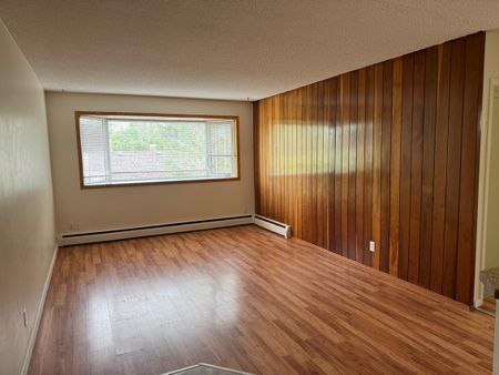 1 Bedroom Pet Friendly Apartments at Bridgeview!! - Photo 2