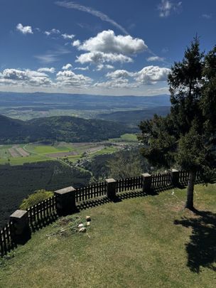 Apartments ab 398 EUR zur Kurzzeitmiete - Toplage im Naturpark Hohe Wand - Photo 1