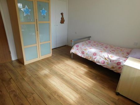 180 Doogary Road, Omagh, BT79 0XN - Photo 5