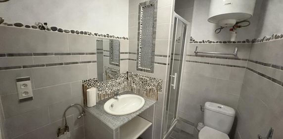 Location Appartement 1 pièce 26m² TOURVES 83170 - Photo 2