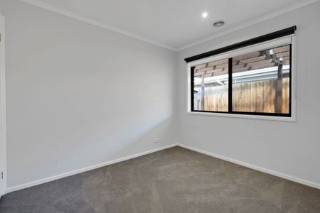 Amazing Amber! - Photo 4