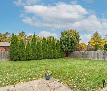 For Lease - 477 Scott Street Unit# Bsmt, St. Catharines, Ontario - Photo 4