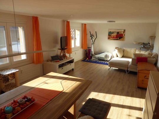 4.5 Zimmer, 110 m² - Photo 1