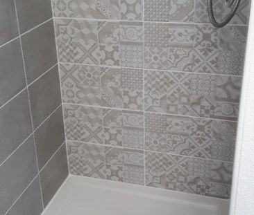 Location Appartement 1 pièce 19m² AUZEVILLE TOLOSANE 31320 - Photo 4