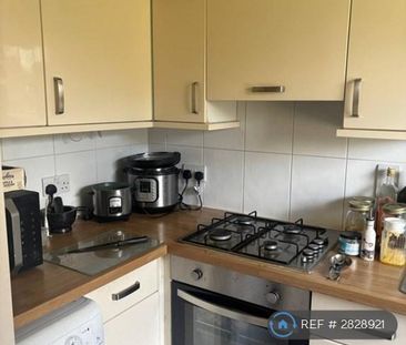 2 bedroom terraced house to rent - Photo 6