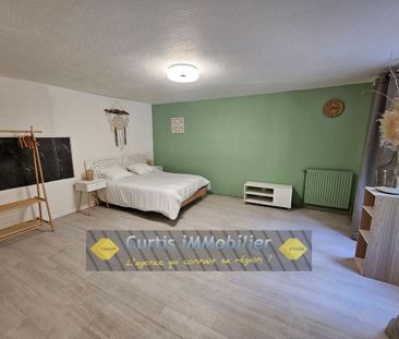 Location Appartement 1 pièce 35m² ST ETIENNE 42000 - Photo 2