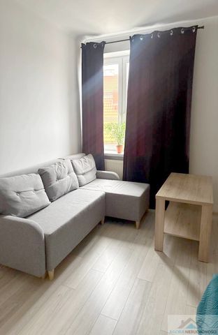 Kawalerka do wynajęcia, Płock, Stare Miasto - Photo 4