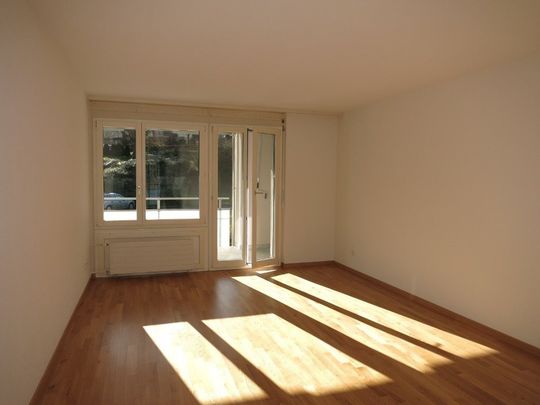 3 ½ Zimmer-Wohnung in Wädenswil-Au mieten - Photo 1
