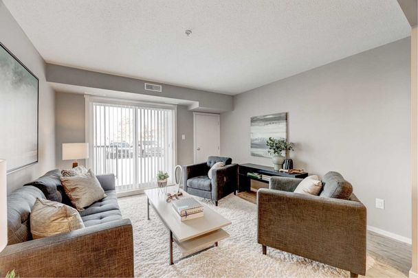 One Bedroom One Bath - Photo 1