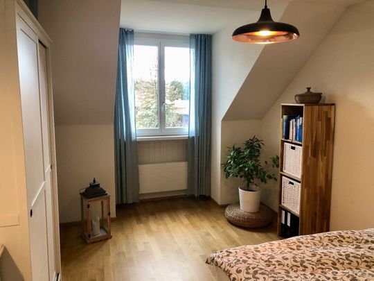 APPARTEMENT DE 2 PIÈCES À WINTERTHOUR, MEUBLÉ, TEMPORAIRE - Foto 1