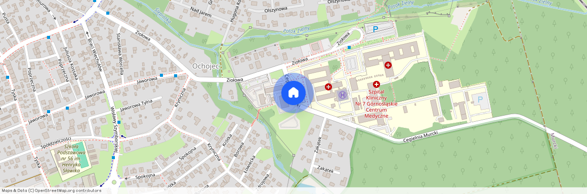 Piotrowice-Ochojec, Katowice, śląskie