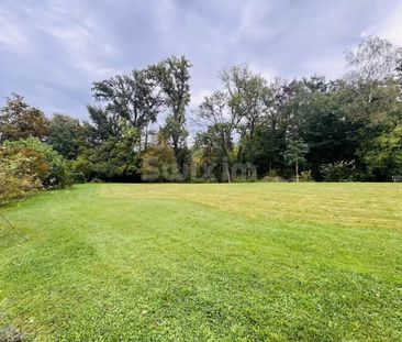 Charming Villa in Onex - 4 bedrooms - 2 terraces and wooded park - Photo 1