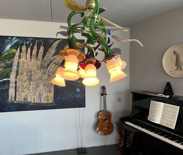 Te huur: Appartement Sean MacBridestraat in Amsterdam - Foto 4