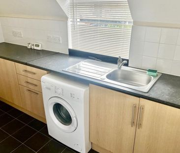 Globe Lane - Photo 2