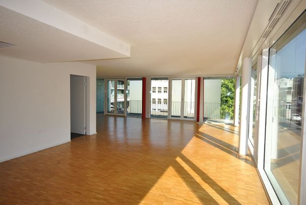 4.5 Zimmer, 116 m², 2. Stock - Photo 1