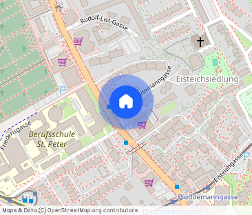 Helles 15 m² Zimmer in 2er-WG (Plüddemanngasse, 8010 Graz) – Nähe T... - Foto 1