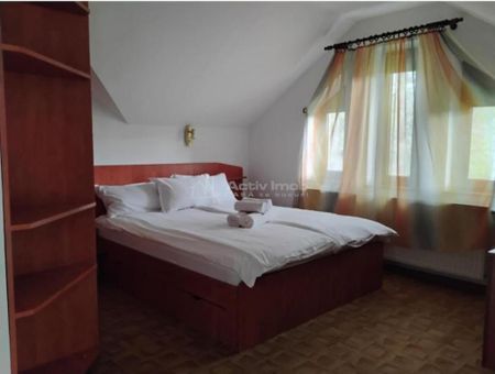 Casa/Vila-Afacere Turism-Drumul Poienii - Fotografie 3