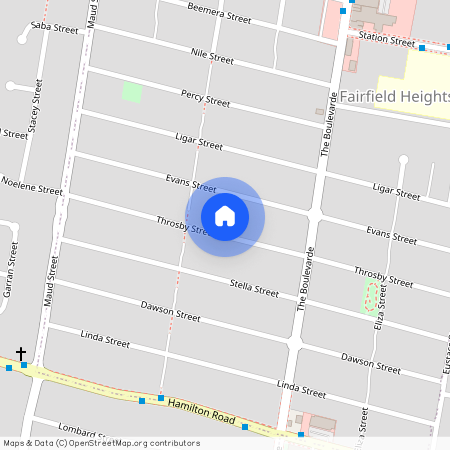 54a Throsby Street Fairfield Heights, NSW 2165