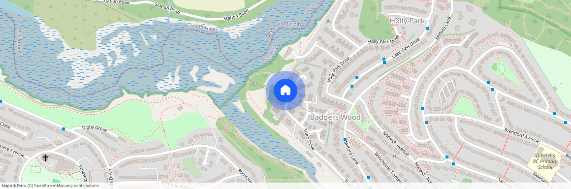 Truro Drive, Badgers Wood, PL5