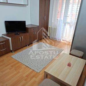 Garsoniera de inchiriat in zona Lipovei Timisoara - Fotografie 2
