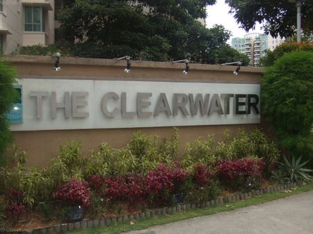 The Clearwater (D16), Condominium - For Rent - Photo 2