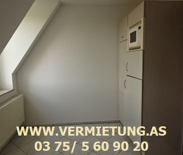 Gemütliches Nest unterm Dach - EBK & Lift & Garten - Foto 1