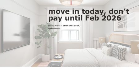 56 Maitland Street - Photo 3