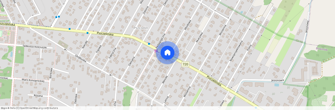 ul. Pszczelińska, Brwinów, Brwinów, pruszkowski, mazowieckie