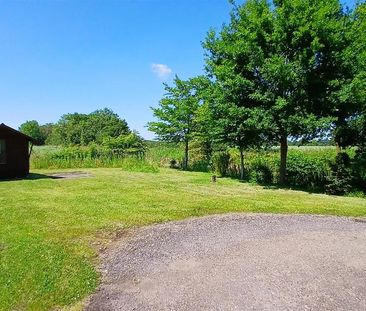 4 bedroom semi-detached house to rent - Photo 5