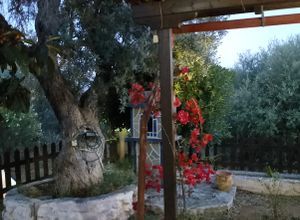 Μονοκατοικία για ενοικίαση - Ερέτρια, - Photo 5