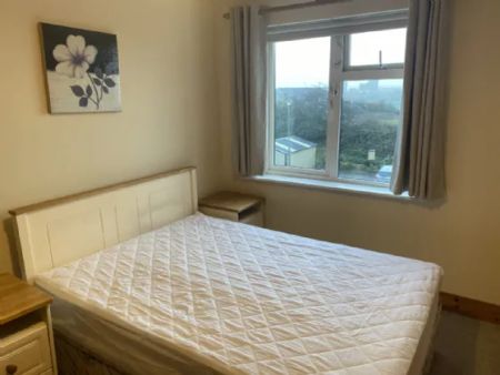 Ivy Court, Broomfield, Midleton, Co. Cork, P25 N638 - Photo 4