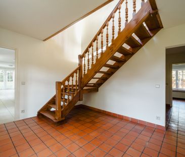 Zoniënwoud, Hoeilaart - Foto 3