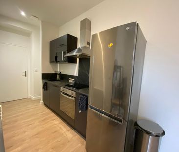 Location Appartement 2 pièces 32m² TAIN L HERMITAGE 26600 - Photo 6