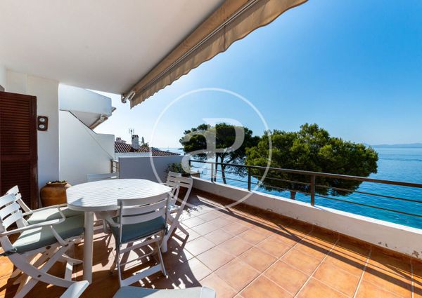 Piso de alquiler en Aucanada , Port d'Alcúdia - Platja d'Alcúdia