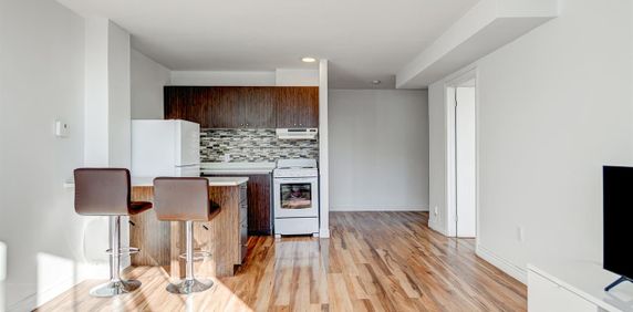 One-bedroom Apartments -Available In November And December- Starting From $1,200 - 3777 ST-URBAIN, Montréal - Photo 2