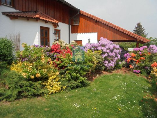Pronájem bytu 2+1 60 m² - Fotografie 1