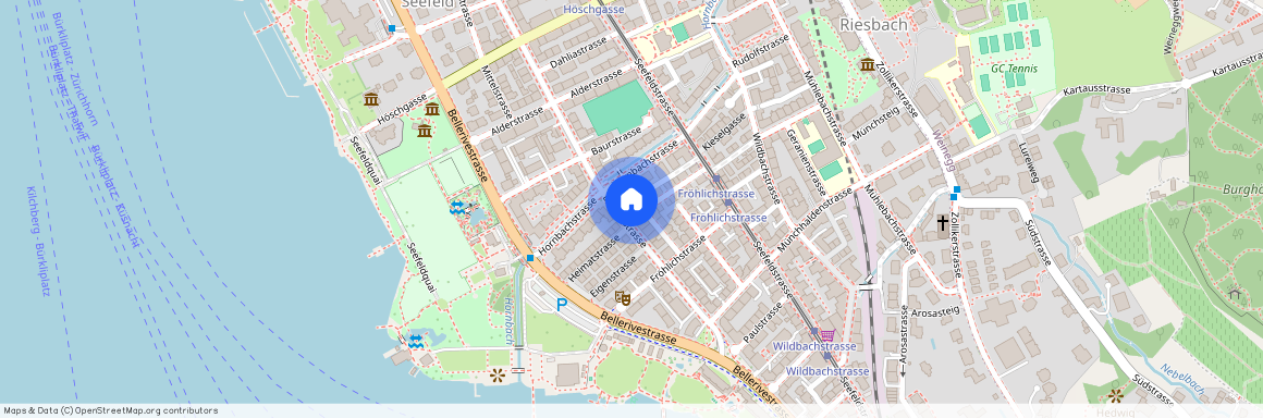 8008, Zurich, Dufourstrasse, 161