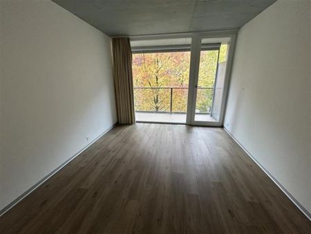 Rte des Iles 15, 1890 ST-MAURICE - Photo 3