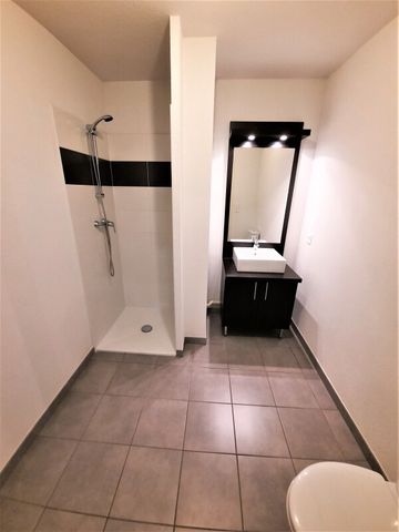 Location Appartement 1 pièce 29m² LAUNAGUET 31140 - Photo 5