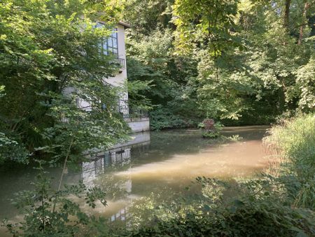 Location Appartement 3 pièces 89m² CALUIRE ET CUIRE 69300 - Photo 5